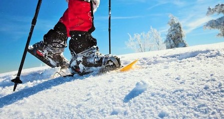 excursiones raqueta de nieve sierra nevada